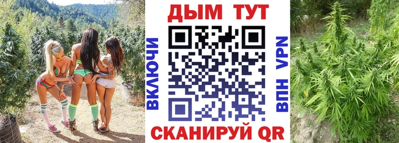 Купить где  Разумное  Конопля семена 